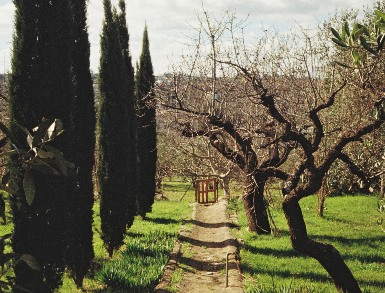 oltre fore Right 2